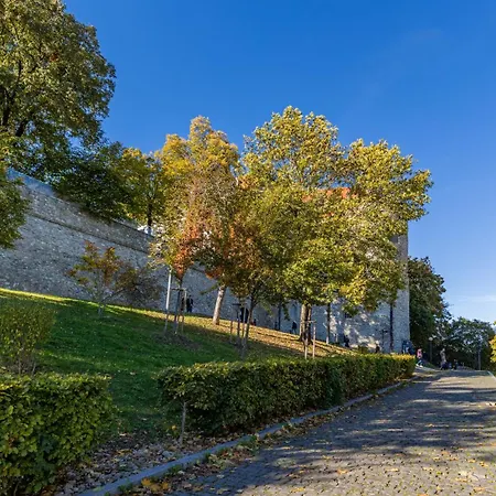 Castle Vista Getaway, Free Parking Apartamento